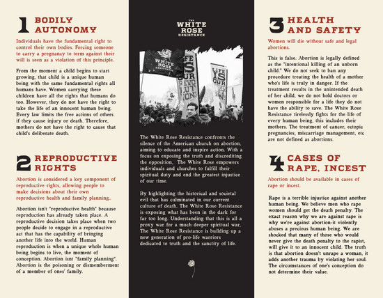 Responding to Pro-Choice Arguments Brochure (set of 10)